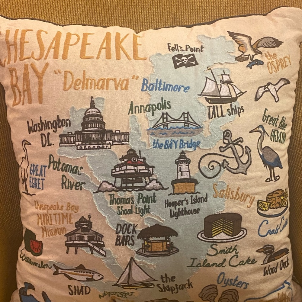 Delaware area throw pillow handmade.